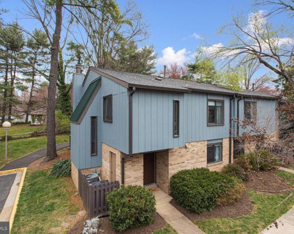 1818 Ivy Oak Sq Unit #48, Reston