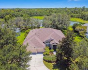 15911 Sorawater Drive, Lithia image