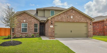 420 Bright Lantana Drive, Katy