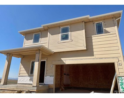 2651 Painted Turtle Ave, Loveland