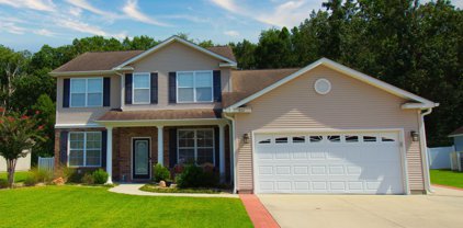 266 Southern Breezes Circle, Murrells Inlet