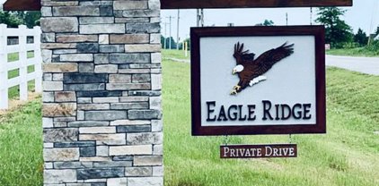 1624 Eagle Ridge Terrace, Tontitown