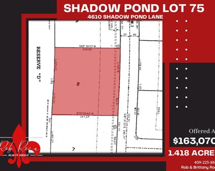 4610 Shadow Pond Ln, Alvin