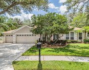 4102 Imperial Eagle Drive, Valrico image