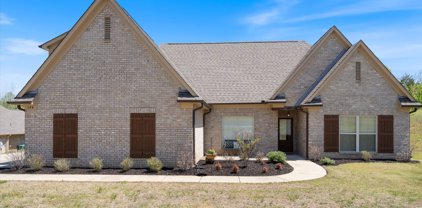 134 E Byhalia Creek Farms Road, Byhalia