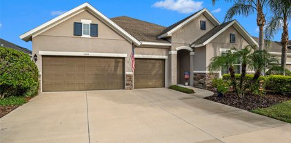 1034 Tracey Ann Loop, Seffner