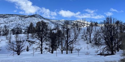 tbd Devenpeck (3), Gardnerville