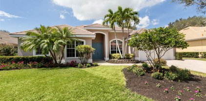 411 Autumn Chase Drive, Venice
