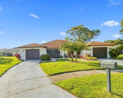 3272 Gorse Court, Palm Harbor