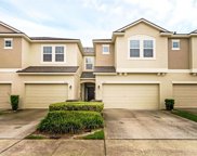 236 Angel Trumpet Way, Oviedo image