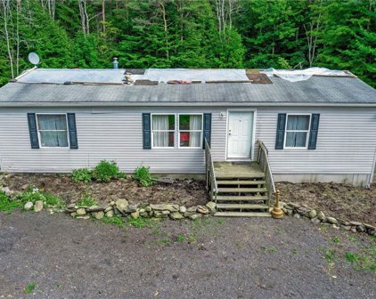 7784 Irish Hill  Road, Ellicottville-043689
