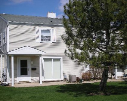 319 David Court Unit #C, Bartlett