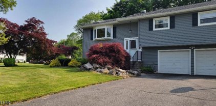 15 Henry St, Roxbury Twp.