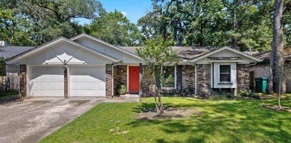 8 Early Dawn Court, The Woodlands