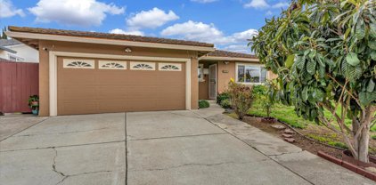2126 Bliss AVE, Milpitas
