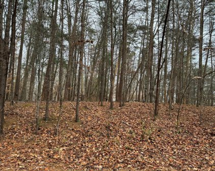 Lot 22 Goldfinch  Cir, Moneta