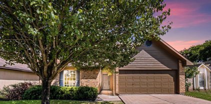 10926 Kirkbrush Drive, Houston