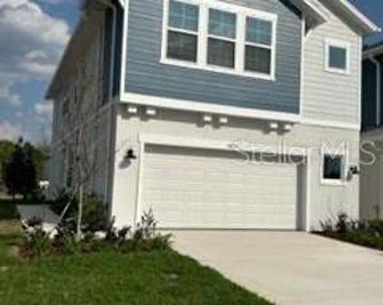 3652 Clay Pot Drive, Land O' Lakes