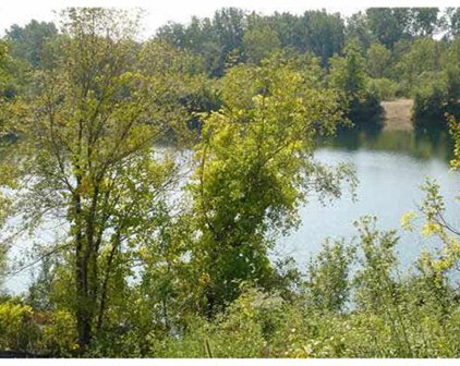 Lot #10 Darnell Lake Dr, Mishawaka