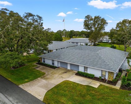 23325 Club Villas Drive, Land O' Lakes