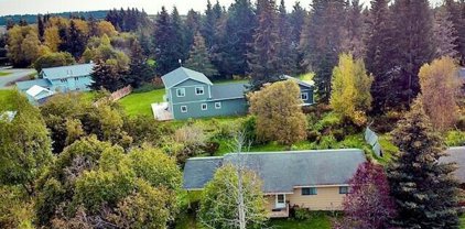 259 E Bayview Avenue, Homer
