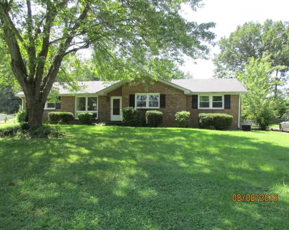 134 Dave Dr, Clarksville