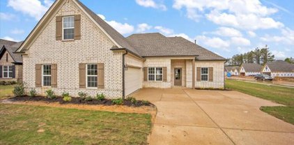 8673 Hayes Drive, Southaven