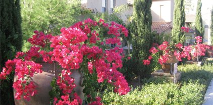 63 Mandria, Newport Coast