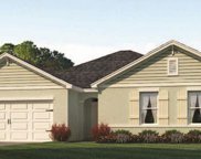 3145 Caspian Feather Street, Bartow image