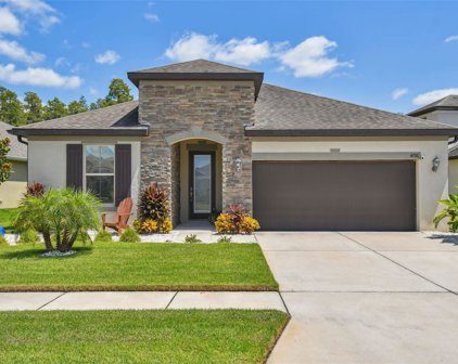 4716 Rolling Green Drive, Wesley Chapel
