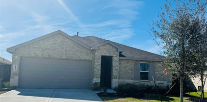 14910 Timber Pines Drive, New Caney