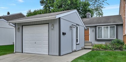 338 Colony Green Drive, Bloomingdale