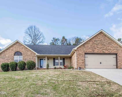 4223 Foothills Drive, Knoxville