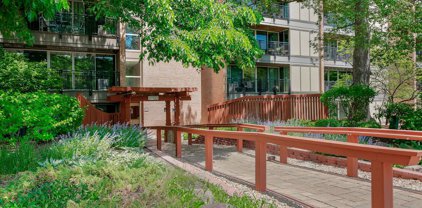 6000 Oakwood Drive Unit #2D, Lisle