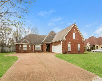 7971 Breezy Meadows Ln, Bartlett