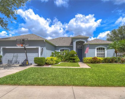 10816 Australian Pine Drive, Riverview