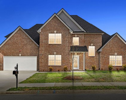 1009 S Azalea Ct, Ashland City