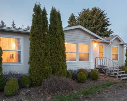 1313 LACEY, Hayden