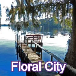 Floral City Florida Homes for Sale