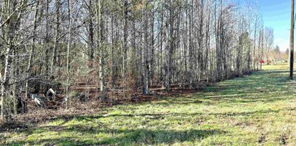 Lot W Hwy 53, Ardmore