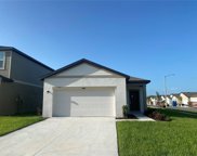 35408 White Water Lily Way, Zephyrhills image