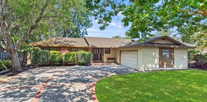 3516 Tupelo Dr, Walnut Creek
