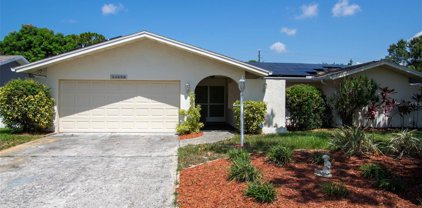 13179 Dorchester Drive, Seminole