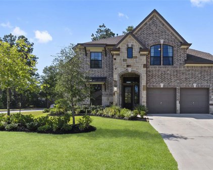 168 Bluebell Woods Way, Conroe