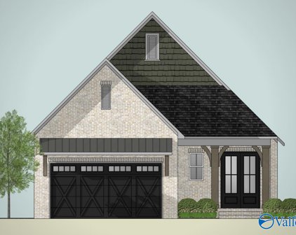 316 Shadow Court, Huntsville