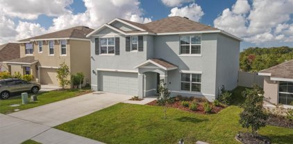 10843 Norman Place, Parrish