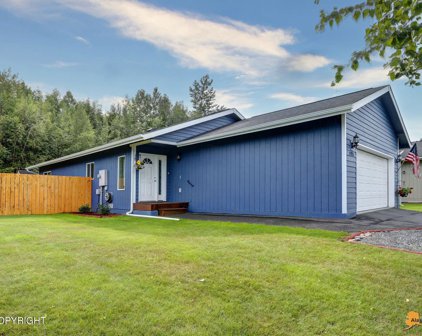 3921 Scenic View Drive, Anchorage