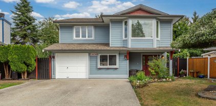 11650 202b Street, Maple Ridge