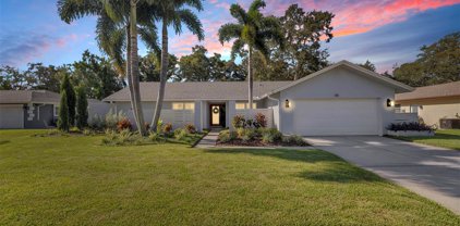 40 Linden Lane, Palm Harbor