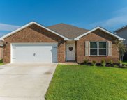1048 Limpkin Street, Crestview image